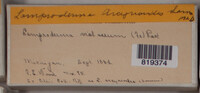 Image Associated With the Occurence